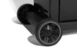 Broil King Royal 340 Gasgrill - Modell 2023 -Rosle Grills Geschaft 16953 Broil King Royal 824263 ROYAL 340 6 1607697619