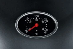 Severin Elektrogrill - Standgrill Mit Grillplatte Und Haube - 2.000 W -Rosle Grills Geschaft 21547 severin pg8541 barbecue elektrogri 6 1590737833