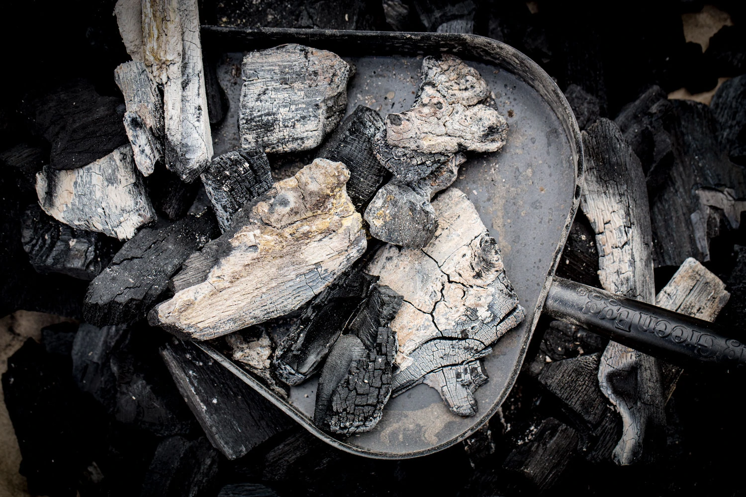 Big Green Egg Ascheschaufel Für 2XL, XLarge, Large, Medium 2 Big Green Egg Ascheschaufel Für 2XL, XLarge, Large, Medium – Bild 2