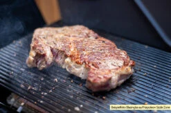 Outdoorchef Blazinglas® L Für Napoleon Rogue XT, Freestyle, Outdoorchef Dualchef, Broil King Infrarotbrenner, Rösle Prime Zone Videro, Grillfürst G-Modelle, Santos S-Serie, Burnhard Earl -Rosle Grills Geschaft Blazinglas Napoleon Sizzlezone