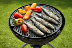 CADAC Camping Gasgrill Grillo Chef 40 / BBQ + Dome - 50 Mbar -Rosle Grills Geschaft CADAC Gasgrill Grillo Chef 40 Grillplatte 2