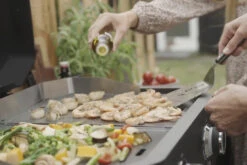 COZZE Plancha 600 / Plancha Grill Mit 2 Gusseisen Grillplatten -Rosle Grills Geschaft COZZE Plancha 600 Lifestyle Grillgut