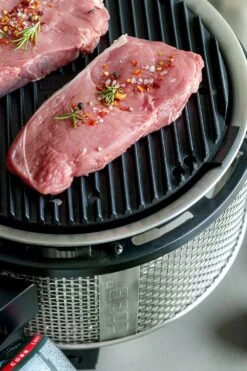 Cobb Grill Premier Gas Deluxe 2.0 - Gasgrill - Kartuschenanschluss - Modell 2023 -Rosle Grills Geschaft Cobb Grasgrill Premier Deluxe 2 Griddle Grillplatte