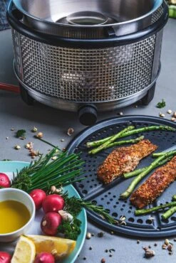 Cobb Grill Premier+ Gas Deluxe Gasgrill 50mbar - Inkl. Tragetasche, Grillplatte, Bratenrost, Pizzastein -Rosle Grills Geschaft Cobb Grill Premier Plus Gas Deluxe Griddle 7