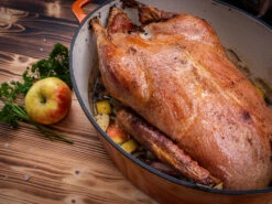 Grillfürst Dutch Oven Sternentöpfchen / Gusseisen Bräter - Emailliert - XL - Orange -Rosle Grills Geschaft Grillfuerst Gaensebraeter Sternentoepfchen