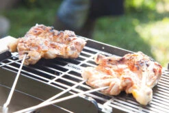 Knister Grill Original - Ausziehbarer Holzkohle Kompaktgrill -Rosle Grills Geschaft Knister Grill Spiesse