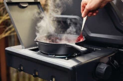 Napoleon Freestyle 365 Gasgrill, Graphit - Mit Seitenbrenner - Modell 2023 -Rosle Grills Geschaft Napoleon Freestyle Seitenkocher