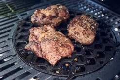 Enders Switch Grid Einsatz: Sear Grate Gusseisenrost -Rosle Grills Geschaft enders switch grid einsatz sear grate 7791