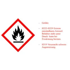 12er Bigpack Superfeuer Startfire Anzündspray 600ml