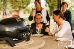 Napoleon TravelQ PRO285 Kompakt Gasgrill Schwarz - Modell 2023 -Rosle Grills Geschaft napoleon travelq pro285 als tischgrill 02