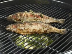 Outdoorchef Gusseisenpfanne / Aromapfanne Ø 23cm -Rosle Grills Geschaft outdoorchef aromapfanne 18 211 71 f