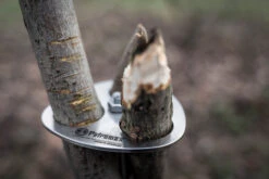 Petromax Dreibein-Ring -Rosle Grills Geschaft petromax dreibeinring detail d ring