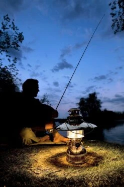 Petromax Petroleumlampe HK500/829 Messing -Rosle Grills Geschaft petromax starklichtlampe hk500 px5m 14